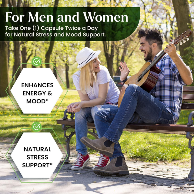 Private Label Manufacturer Organic Ashwagandha Supplement With Black Pepper 650mg Per Serving Natural Stress Relief Mood Support Energy Enhancement Non-GMO 60 Capsules Bulk OEM,MY SHOP,Private Label Manufacturer Organic Ashwagandha Supplement With Black Pepper 650mg Per Serving Natural Stress Relief Mood Support Energy Enhancement Non-GMO 60 Capsules Bulk OEM