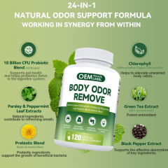 Private Label Manufacturer Internal Deodorant Capsules Chlorophyll Complex 600mg With Probiotics Prebiotics Parsley Peppermint Green Tea Black Pepper Eliminates Body Odor Oral Odor Purifies Blood 120 Capsules 60 Day Supply,MY SHOP,Private Label Manufacturer Internal Deodorant Capsules Chlorophyll Complex 600mg With Probiotics Prebiotics Parsley Peppermint Green Tea Black Pepper Eliminates Body Odor Oral Odor Purifies Blood 120 Capsules 60 Day Supply