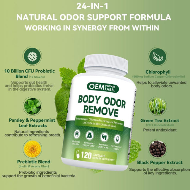 Private Label Manufacturer Internal Deodorant Capsules Chlorophyll Complex 600mg With Probiotics Prebiotics Parsley Peppermint Green Tea Black Pepper Eliminates Body Odor Oral Odor Purifies Blood 120 Capsules 60 Day Supply,MY SHOP,Private Label Manufacturer Internal Deodorant Capsules Chlorophyll Complex 600mg With Probiotics Prebiotics Parsley Peppermint Green Tea Black Pepper Eliminates Body Odor Oral Odor Purifies Blood 120 Capsules 60 Day Supply