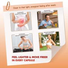 OEM Factory Private Label All-in-1 Apple Cider Vinegar Capsules With Ginger Odorless Garlic Turmeric Berberine Ceylon Cinnamon Vitamin C D3 Cayenne Milk Thistle Banaba Licorice Holy Basil Fenugreek Blueberry Black Pepper 150 Capsules,MY SHOP,All-in-1 Apple Cider Vinegar Capsules