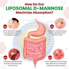 OEM Factory Private Label Liposomal D-Mannose Capsules 1600mg Per Serving With Cranberry 50mg Black Pepper 10mg Liposomal Technology Maximum Absorption Supports Bladder Health Urinary Tract Kidney Health Gut Health 150 Capsules,MY SHOP,OEM Factory Private Label Liposomal D-Mannose Capsules 1600mg Per Serving With Cranberry 50mg Black Pepper 10mg Liposomal Technology Maximum Absorption Supports Bladder Health Urinary Tract Kidney Health Gut Health 150 Capsules