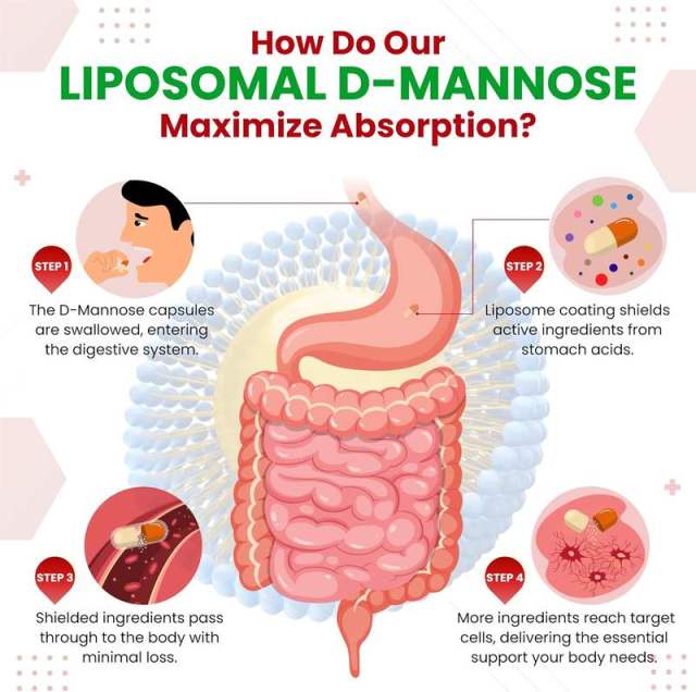 OEM Factory Private Label Liposomal D-Mannose Capsules 1600mg Per Serving With Cranberry 50mg Black Pepper 10mg Liposomal Technology Maximum Absorption Supports Bladder Health Urinary Tract Kidney Health Gut Health 150 Capsules,MY SHOP,OEM Factory Private Label Liposomal D-Mannose Capsules 1600mg Per Serving With Cranberry 50mg Black Pepper 10mg Liposomal Technology Maximum Absorption Supports Bladder Health Urinary Tract Kidney Health Gut Health 150 Capsules