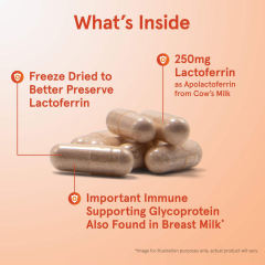 OEM Factory Private Label Freeze Dried Lactoferrin Capsules 250mg Apolactoferrin From Cow's Milk Immune Peptide Supports Healthy Immune System Promotes Iron Absorption Non-GMO Gluten Free 60 Capsules,MY SHOP,OEM Factory Private Label Freeze Dried Lactoferrin Capsules 250mg Apolactoferrin From Cow's Milk Immune Peptide Supports Healthy Immune System Promotes Iron Absorption Non-GMO Gluten Free 60 Capsules