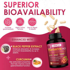 OEM Factory Private Label Berberine HCI Capsules 1200mg Per Serving With Ceylon Cinnamon 100mg Chromium Picolinate 100mcg Curcumin Black Pepper 98% High Purity Supports Gastrointestinal Function Immune System Antioxidant Activity 120 Capsules,MY SHOP,OEM Factory Private Label Berberine HCI Capsules 1200mg Per Serving With Ceylon Cinnamon 100mg Chromium Picolinate 100mcg Curcumin Black Pepper 98% High Purity Supports Gastrointestinal Function Immune System Antioxidant Activity 120 Capsules