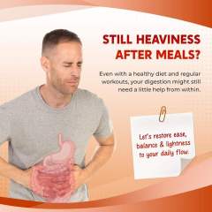 OEM Factory Private Label All-in-1 Apple Cider Vinegar Capsules With Ginger Odorless Garlic Turmeric Berberine Ceylon Cinnamon Vitamin C D3 Cayenne Milk Thistle Banaba Licorice Holy Basil Fenugreek Blueberry Black Pepper 150 Capsules,MY SHOP,All-in-1 Apple Cider Vinegar Capsules