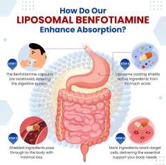 OEM Factory Private Label Liposomal Benfotiamine Capsules With Alpha Lipoic Acid Fat-Soluble Vitamin B1 Supports Nerve Health Healthy Metabolism Cardiovascular Health Cellular Protection 150 Capsules,MY SHOP,OEM Factory Private Label Liposomal Benfotiamine Capsules With Alpha Lipoic Acid Fat-Soluble Vitamin B1 Supports Nerve Health Healthy Metabolism Cardiovascular Health Cellular Protection 150 Capsules
