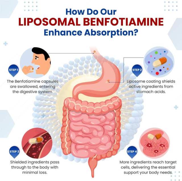 OEM Factory Private Label Liposomal Benfotiamine Capsules With Alpha Lipoic Acid Fat-Soluble Vitamin B1 Supports Nerve Health Healthy Metabolism Cardiovascular Health Cellular Protection 150 Capsules,MY SHOP,OEM Factory Private Label Liposomal Benfotiamine Capsules With Alpha Lipoic Acid Fat-Soluble Vitamin B1 Supports Nerve Health Healthy Metabolism Cardiovascular Health Cellular Protection 150 Capsules