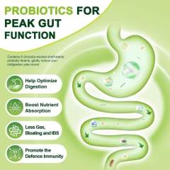 OEM Factory Private Label Probiotics Plus Prebiotics Fiber Capsules 60 Billion CFUs With 1g Fiber Per Serving Promotes Digestive Health Restores Regularity Boosts Immune System GMP Certified 120 Capsules,MY SHOP,OEM Factory Private Label Probiotics Plus Prebiotics Fiber Capsules 60 Billion CFUs With 1g Fiber Per Serving Promotes Digestive Health Restores Regularity Boosts Immune System GMP Certified 120 Capsules