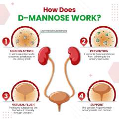 OEM Factory Private Label Liposomal D-Mannose Capsules 1600mg Per Serving With Cranberry 50mg Black Pepper 10mg Liposomal Technology Maximum Absorption Supports Bladder Health Urinary Tract Kidney Health Gut Health 150 Capsules,MY SHOP,OEM Factory Private Label Liposomal D-Mannose Capsules 1600mg Per Serving With Cranberry 50mg Black Pepper 10mg Liposomal Technology Maximum Absorption Supports Bladder Health Urinary Tract Kidney Health Gut Health 150 Capsules