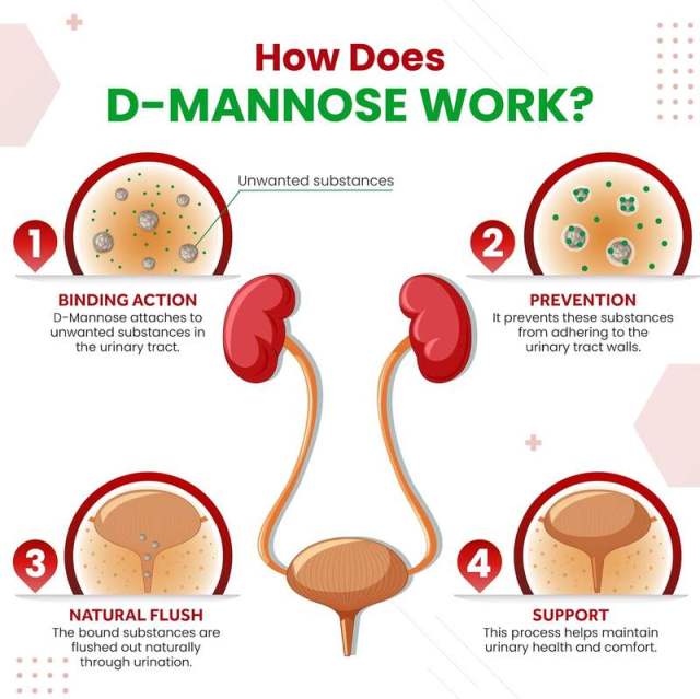 OEM Factory Private Label Liposomal D-Mannose Capsules 1600mg Per Serving With Cranberry 50mg Black Pepper 10mg Liposomal Technology Maximum Absorption Supports Bladder Health Urinary Tract Kidney Health Gut Health 150 Capsules,MY SHOP,OEM Factory Private Label Liposomal D-Mannose Capsules 1600mg Per Serving With Cranberry 50mg Black Pepper 10mg Liposomal Technology Maximum Absorption Supports Bladder Health Urinary Tract Kidney Health Gut Health 150 Capsules