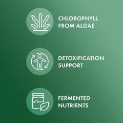 OEM Factory Private Label Fermented Chlorella Tablets 970mg Per Serving With Chlorophyll 13mg Red Algae Blend 30mg Supports Healthy Cellular Aging Natural Detoxification Processes NSF Certified 450 Tablets,MY SHOP,OEM Factory Private Label Fermented Chlorella Tablets 970mg Per Serving With Chlorophyll 13mg Red Algae Blend 30mg Supports Healthy Cellular Aging Natural Detoxification Processes NSF Certified 450 Tablets