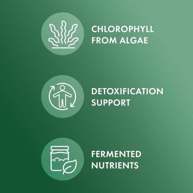 OEM Factory Private Label Fermented Chlorella Tablets 970mg Per Serving With Chlorophyll 13mg Red Algae Blend 30mg Supports Healthy Cellular Aging Natural Detoxification Processes NSF Certified 450 Tablets,MY SHOP,OEM Factory Private Label Fermented Chlorella Tablets 970mg Per Serving With Chlorophyll 13mg Red Algae Blend 30mg Supports Healthy Cellular Aging Natural Detoxification Processes NSF Certified 450 Tablets