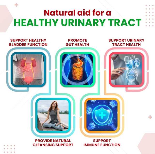 OEM Factory Private Label Liposomal D-Mannose Capsules 1600mg Per Serving With Cranberry 50mg Black Pepper 10mg Liposomal Technology Maximum Absorption Supports Bladder Health Urinary Tract Kidney Health Gut Health 150 Capsules,MY SHOP,OEM Factory Private Label Liposomal D-Mannose Capsules 1600mg Per Serving With Cranberry 50mg Black Pepper 10mg Liposomal Technology Maximum Absorption Supports Bladder Health Urinary Tract Kidney Health Gut Health 150 Capsules