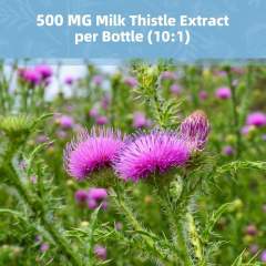 OEM Factory Private Label Liver Cleanse Detox Capsules 500mg Milk Thistle 10:1 With Turmeric Dandelion Licorice Cassia Vitamin A C B6 Zinc Supports Liver Detox Repair Digestive Immune Health 120 Capsules 60 Day Supply,MY SHOP,OEM Factory Private Label Liver Cleanse Detox Capsules 500mg Milk Thistle 10:1 With Turmeric Dandelion Licorice Cassia Vitamin A C B6 Zinc Supports Liver Detox Repair Digestive Immune Health 120 Capsules 60 Day Supply