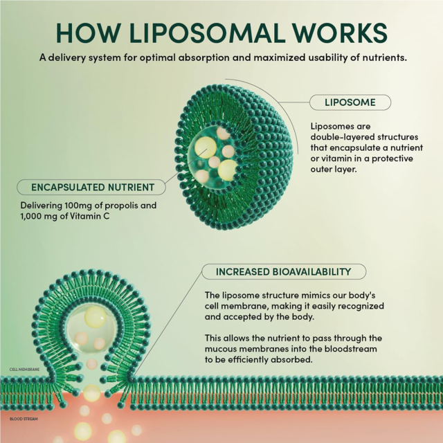 OEM Propolis & Vitamin C Resin Packets Manufacturer | Liposomal Delivery | 1000mg Vitamin C | Immune Support | Private Label,MY SHOP,OEM Propolis & Vitamin C Resin Packets Manufacturer | Liposomal Delivery | 1000mg Vitamin C | Immune Support | Private Label