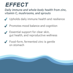 OEM/ODM Vegan Organic Immune Capsules with Whole Foods & Mushrooms,MY SHOP,OEM/ODM Vegan Organic Immune Capsules with Whole Foods & Mushrooms