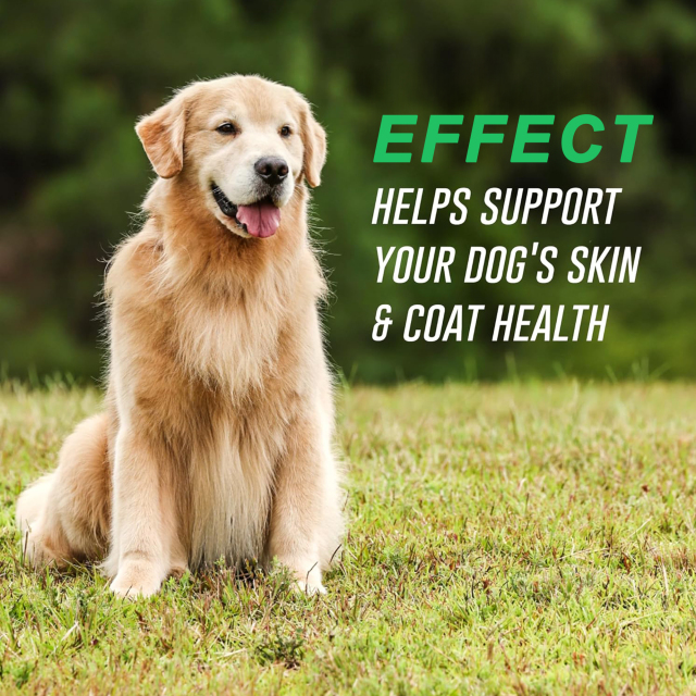 Private Label Dog Skin & Coat Omega-3 Supplement with EPA & DHA,MY SHOP,Private Label Dog Skin & Coat Omega-3 Supplement with EPA & DHA