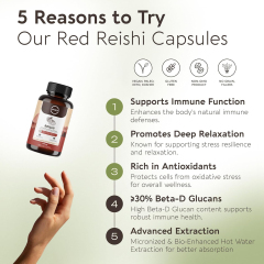 OEM Reishi Mushroom 10:1 Extract 900mg Capsules - 120 Veggie Capsules,MY SHOP,OEM Supplyment