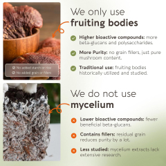 OEM Reishi Mushroom 10:1 Extract 900mg Capsules - 120 Veggie Capsules,MY SHOP,OEM Supplyment
