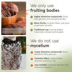 OEM Reishi Mushroom 10:1 Extract Powder 100g (1660mg Per Serving),MY SHOP,OEM Supplyment