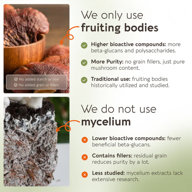 OEM Reishi Mushroom 10:1 Extract Powder 100g (1660mg Per Serving),MY SHOP,OEM Supplyment