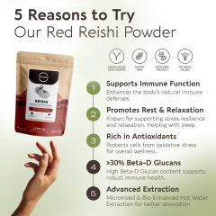 OEM Reishi Mushroom 10:1 Extract Powder 100g (1660mg Per Serving),MY SHOP,OEM Supplyment