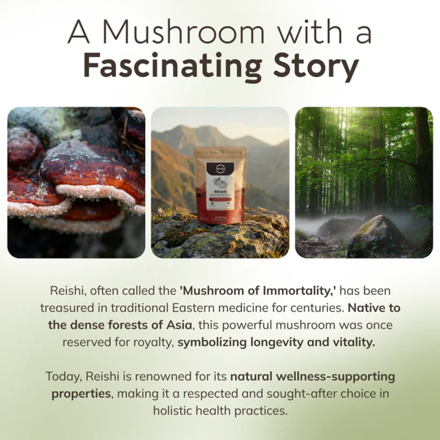 OEM Reishi Mushroom 10:1 Extract Powder 100g (1660mg Per Serving),MY SHOP,OEM Supplyment
