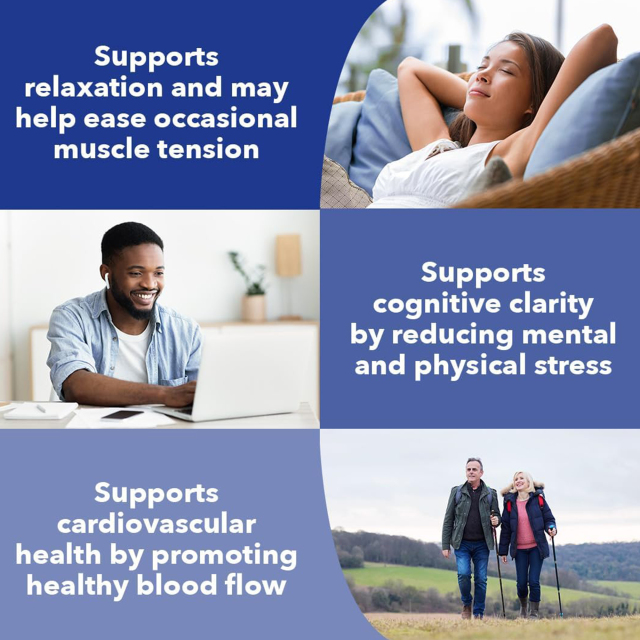 OEM Stress Support Supplement Ashwagandha L-Theanine GABA Kava Kava Theobromine 60 Vegetarian Capsules,MY SHOP,OEM Supplyment