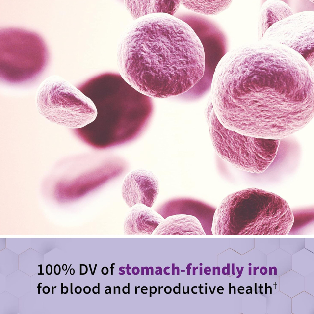 OEM Whole Food Prenatal Multivitamin with Folate Iron and Probiotics 180 Vegetarian Capsules,MY SHOP,OEM Supplyment