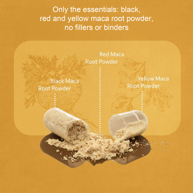 OEM Triple Color Maca Root Capsules 1900mg, Red Black Yellow Maca Blend, 150 Vegan Capsules,MY SHOP,OEM Supplyment