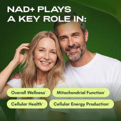 Liposomal NAD Capsules,MY SHOP,500mg Liposomal NAD+ Capsules - OEM supplement manufacturer