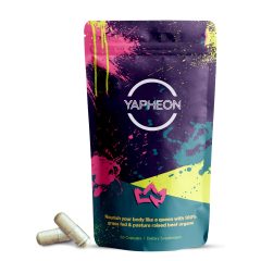Yapheon Beef Organ Capsules,MY SHOP,Yapheon Beef Organ Capsules