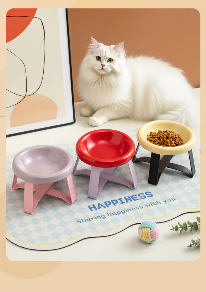 170ml Rainbow Pet Bowl