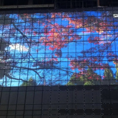 P15.6 LED Grille Screen - Outdoor LED Screen Supplier