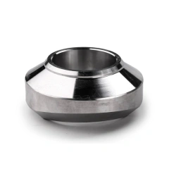 Forged Stainless Steel Weldolet Branch Fitting