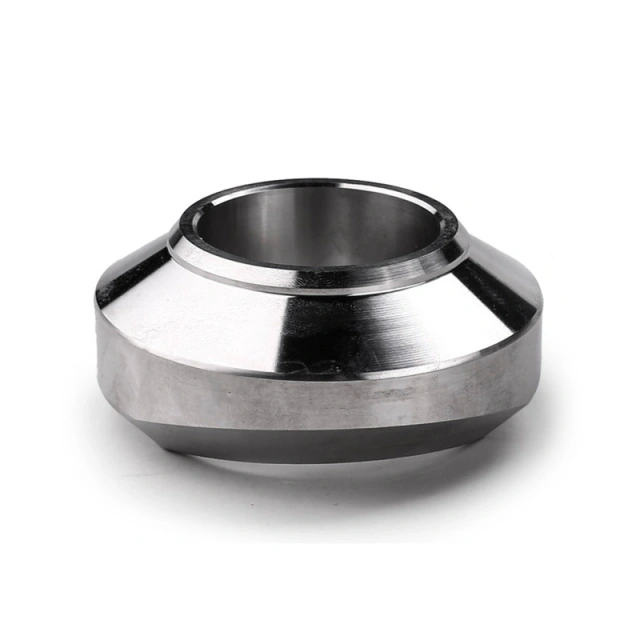 Forged Stainless Steel Weldolet Branch Fitting