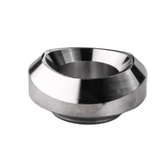 Forged Stainless Steel Weldolet Branch Fitting