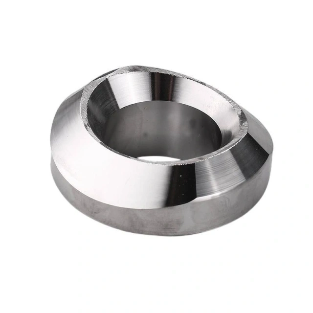 Forged Stainless Steel Weldolet Branch Fitting