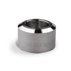 SS Female Thread Half Coupling