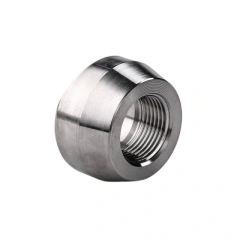 Forged Stainless Steel Threadolet Manufacturer | NPT Threaded Olet Fitting