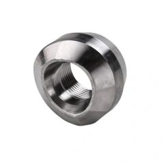 Forged Stainless Steel Threadolet Manufacturer | NPT Threaded Olet Fitting