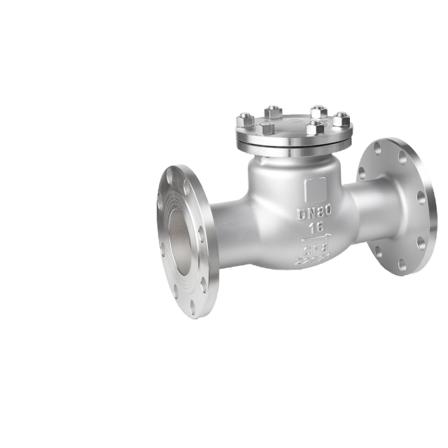 Flansch-Rückschlagventil aus Edelstahl | Industrielles Wasserleitungsventil