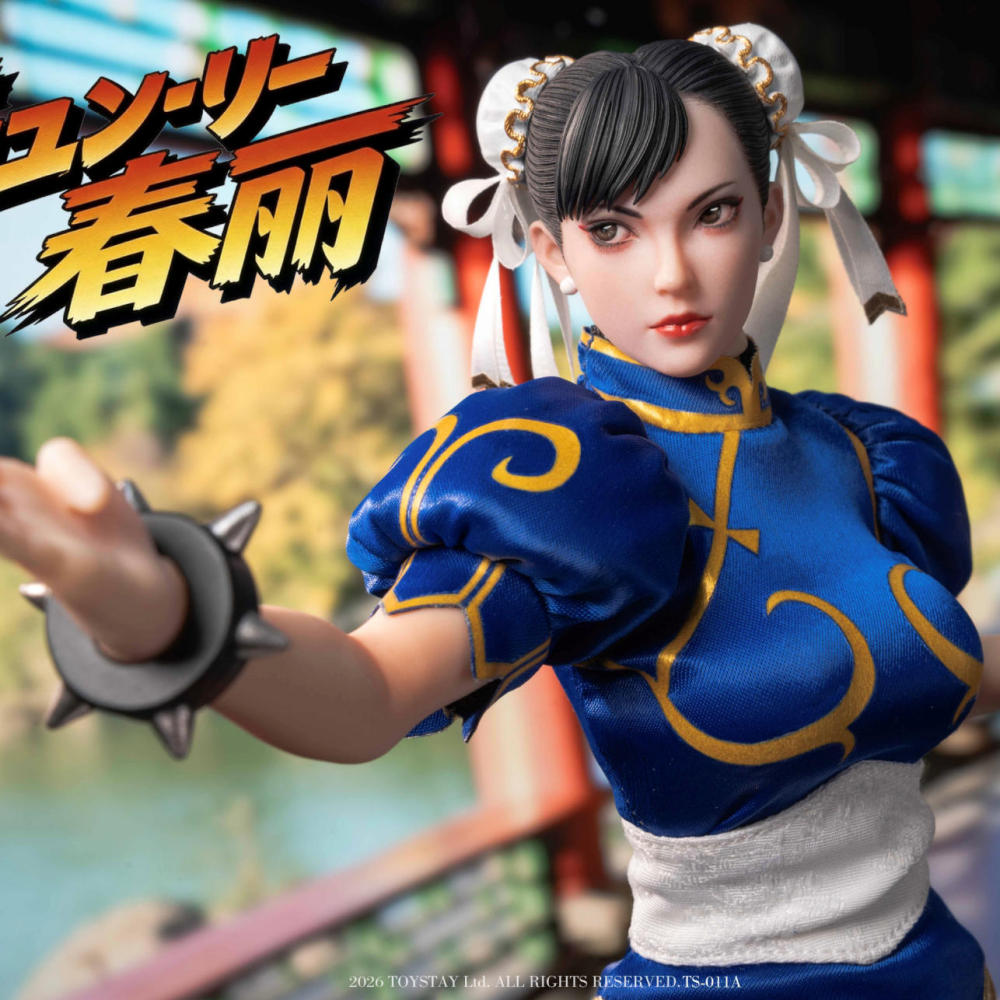 【Pre-order】1/6 Kung Fu Girl  TOYSTAY action figure