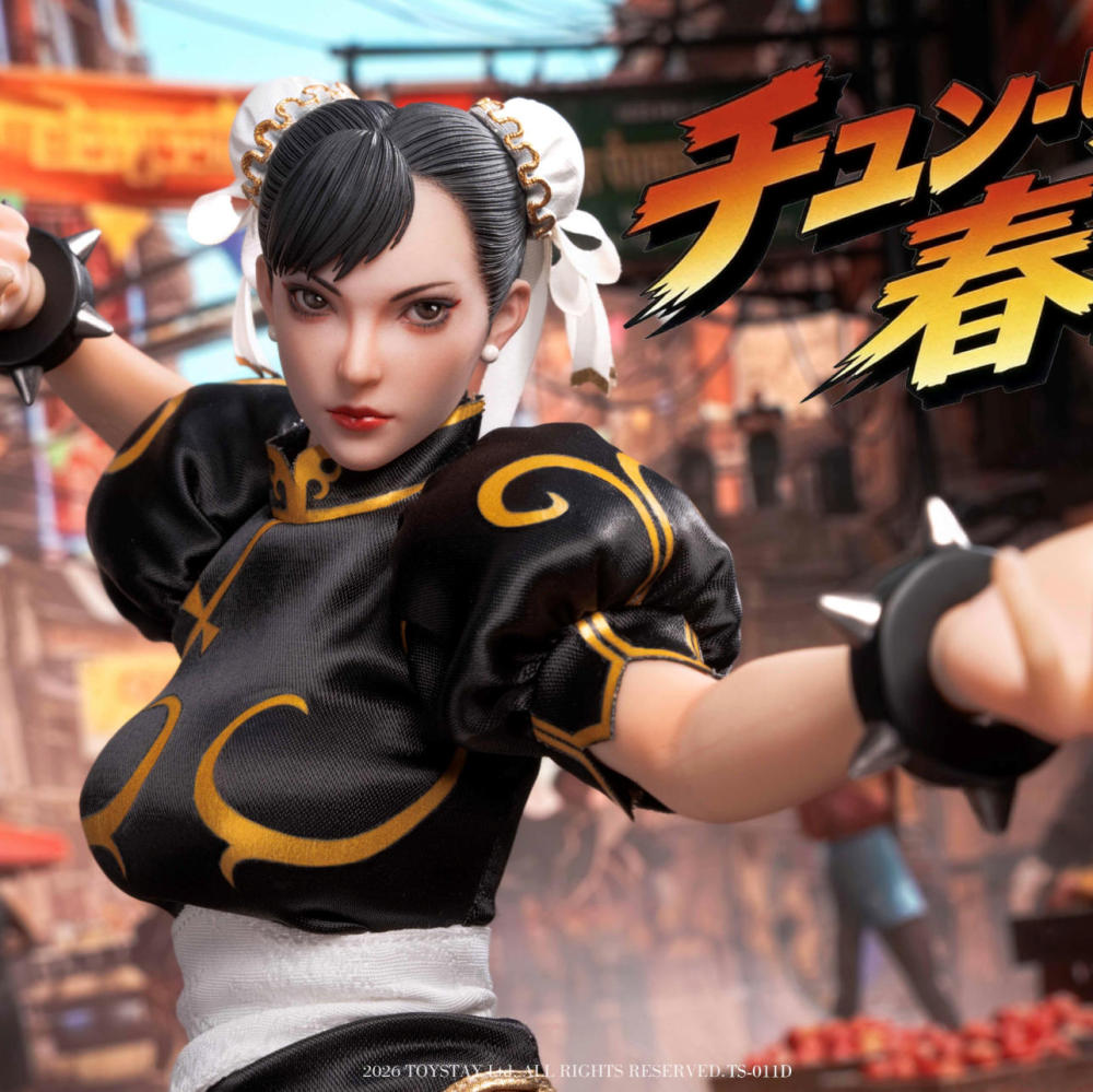 【Pre-order】1/6 Kung Fu Girl  TOYSTAY action figure