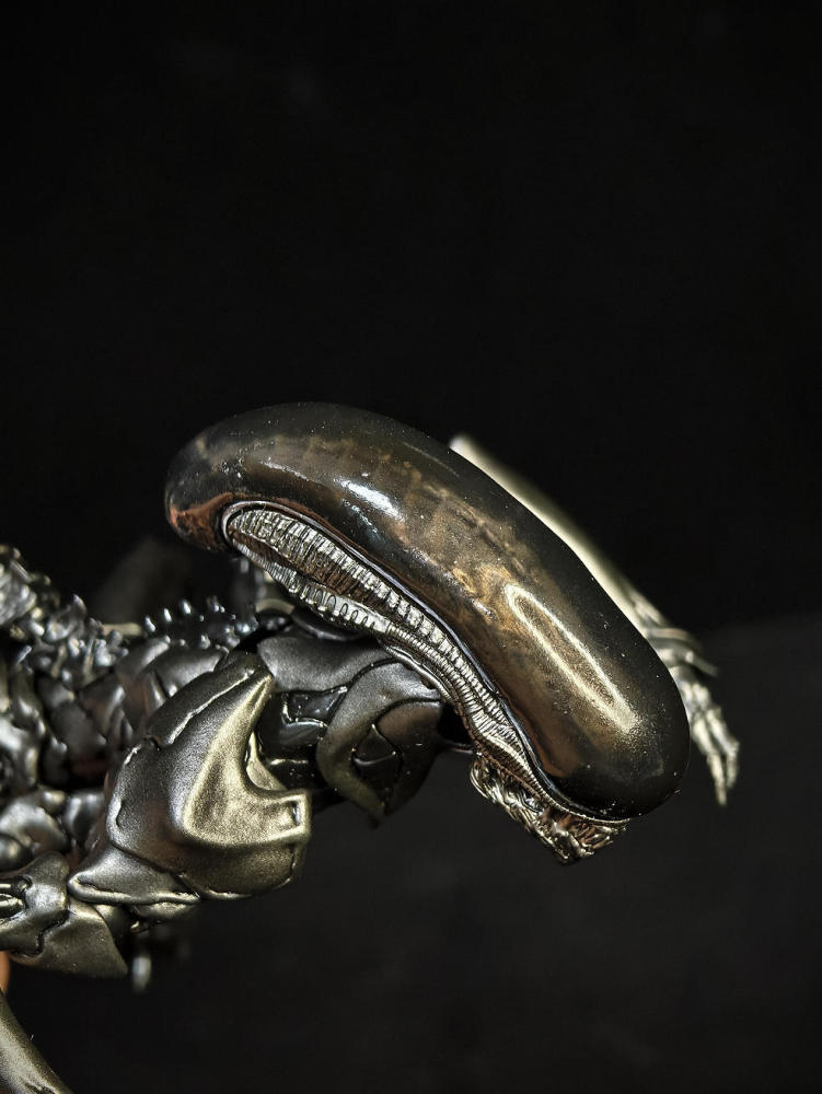 【Pre-order】1/12 Alien coccyx accessory pack Fit for Sexyice Ant