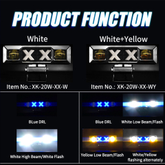 XK-20W-XX-SERIES