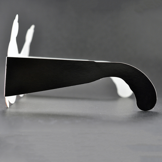 Custom Paper Linear Polarized 3D Glasses for IMAX & 3D Cinemas (Model:SNLP020)