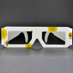 Custom Paper Linear Polarized 3D Glasses for IMAX & 3D Cinemas (Model:SNLP025)