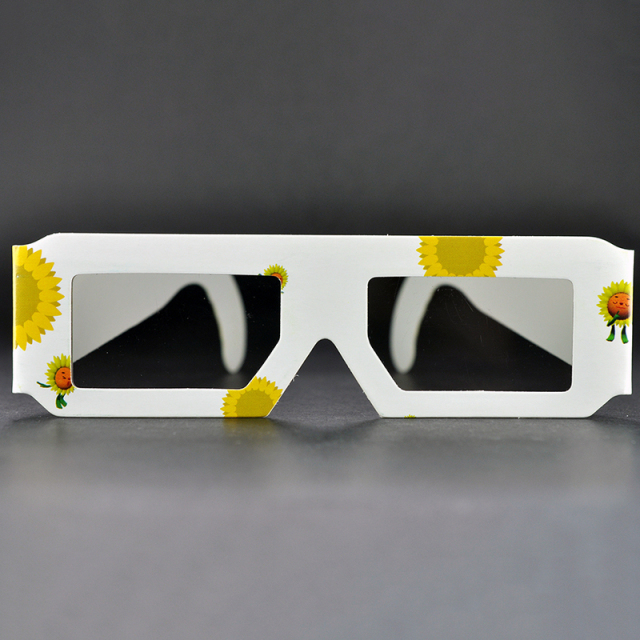 Custom Paper Linear Polarized 3D Glasses for IMAX & 3D Cinemas (Model:SNLP025)