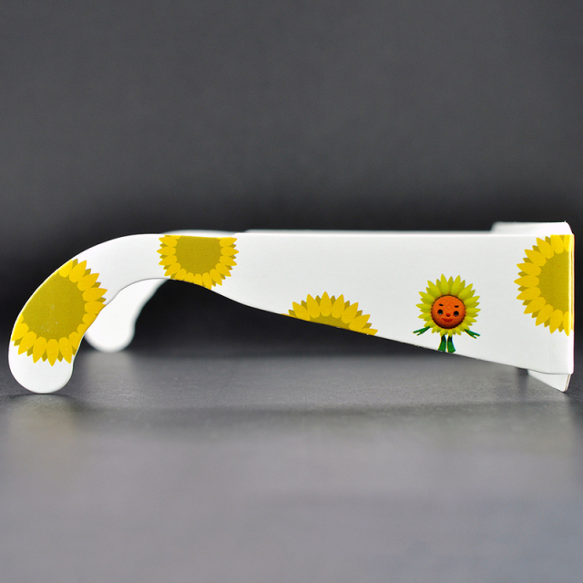 Custom Paper Linear Polarized 3D Glasses for IMAX & 3D Cinemas (Model:SNLP025)